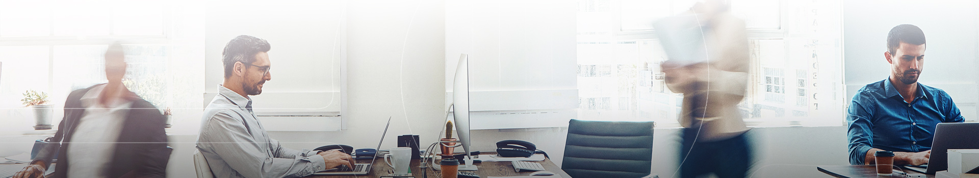 Lakeus Office